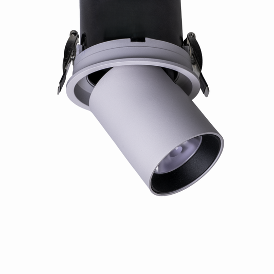 tunable Chelon (DALI-2 Retractable Downlight)